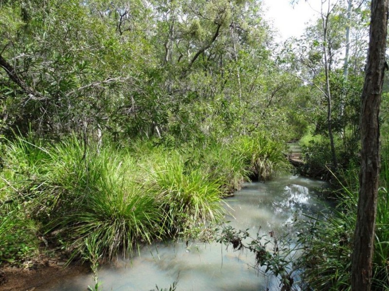 842 Gorge Road, Taunton QLD 4674