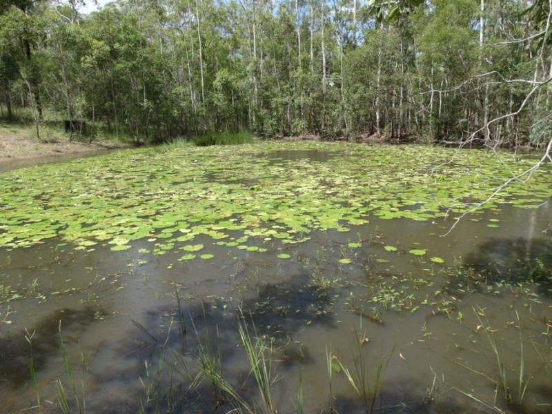 842 Gorge Road, Taunton QLD 4674