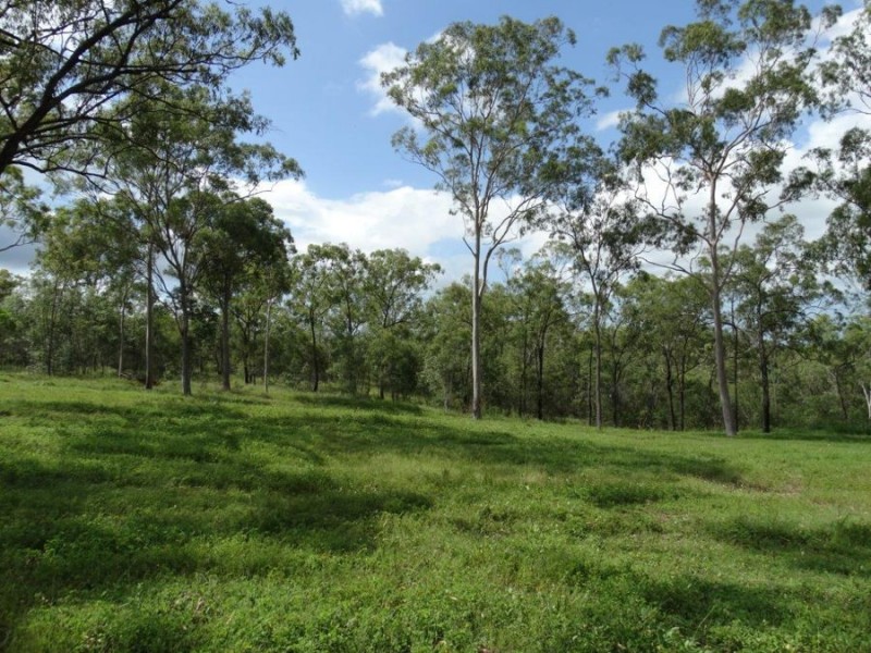 842 Gorge Road, Taunton QLD 4674