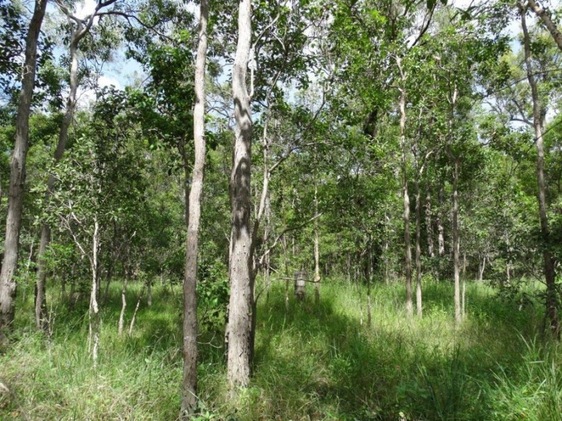 842 Gorge Road, Taunton QLD 4674