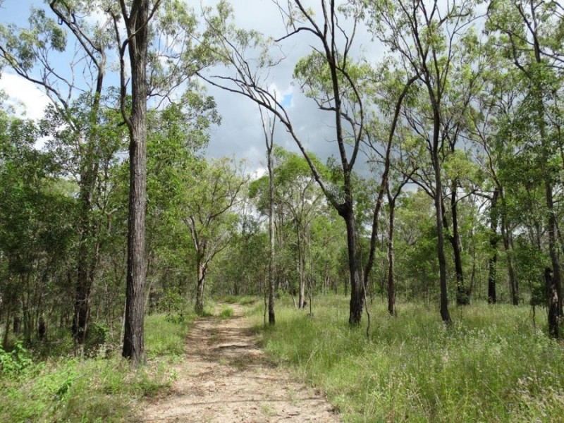 842 Gorge Road, Taunton QLD 4674