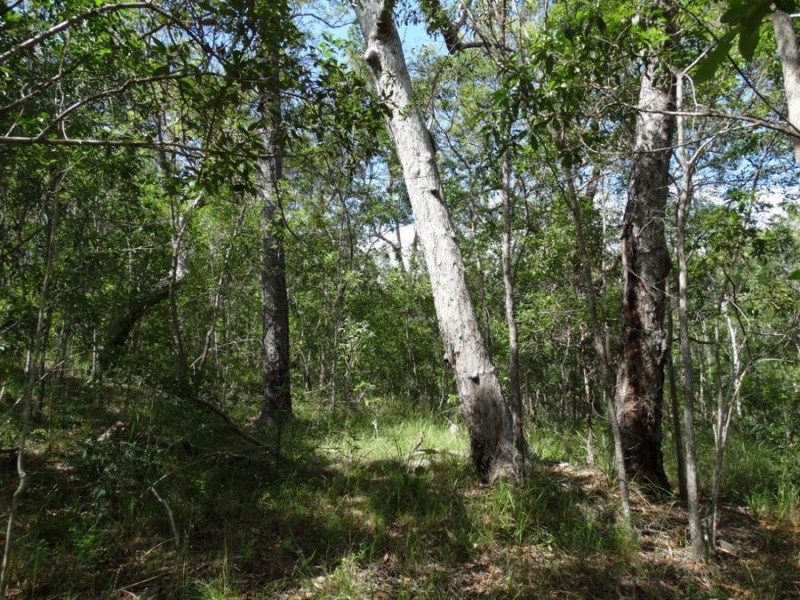 842 Gorge Road, Taunton QLD 4674