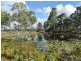 71 Monduran Road, Yandaran QLD 4673