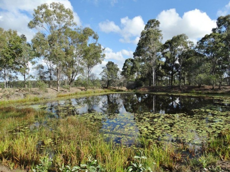 71 Monduran Road, Yandaran QLD 4673