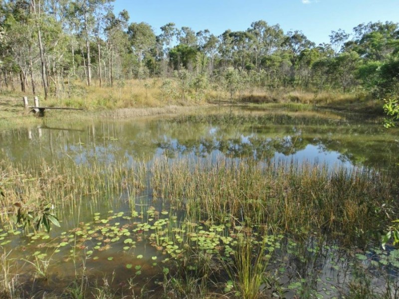 Lot 14 Taunton Road, Taunton QLD 4674