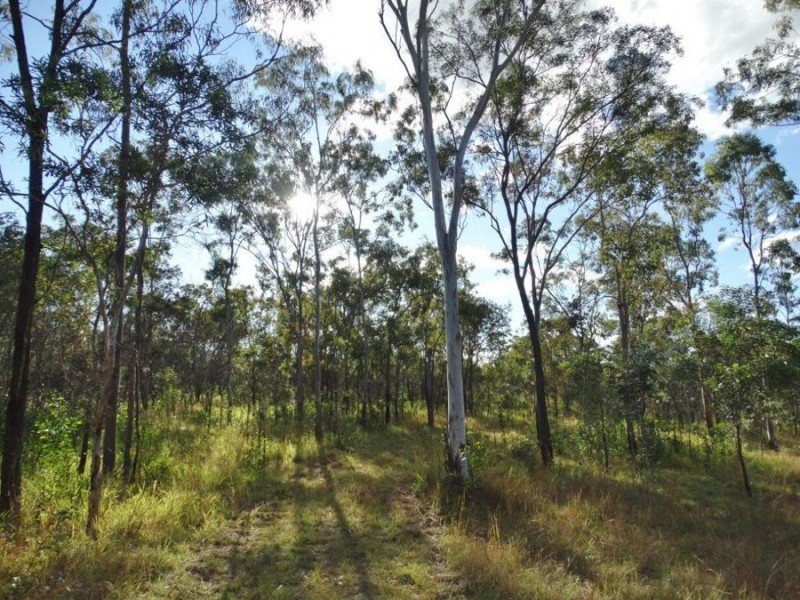 Lot 14 Taunton Road, Taunton QLD 4674