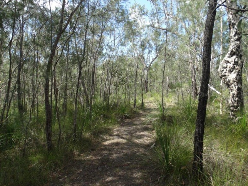 560 Matchbox Road, Deepwater QLD 4674