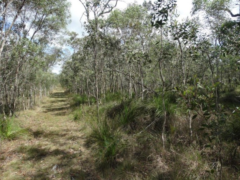 560 Matchbox Road, Deepwater QLD 4674