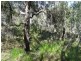 Lot 25 Tableland Road, Mount Maria QLD 4674