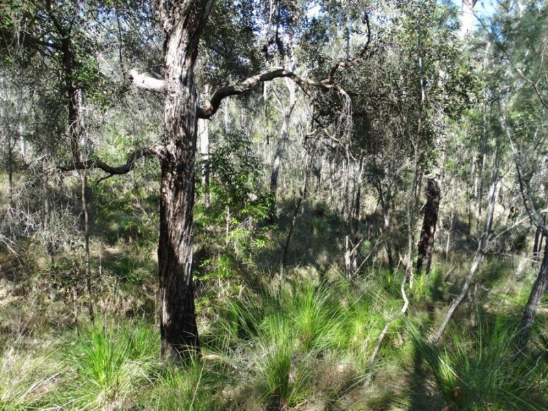 Lot 25 Tableland Road, Mount Maria QLD 4674