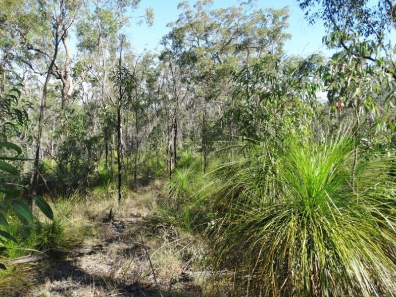Lot 25 Tableland Road, Mount Maria QLD 4674