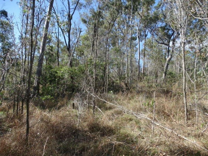 Lot 25 Tableland Road, Mount Maria QLD 4674