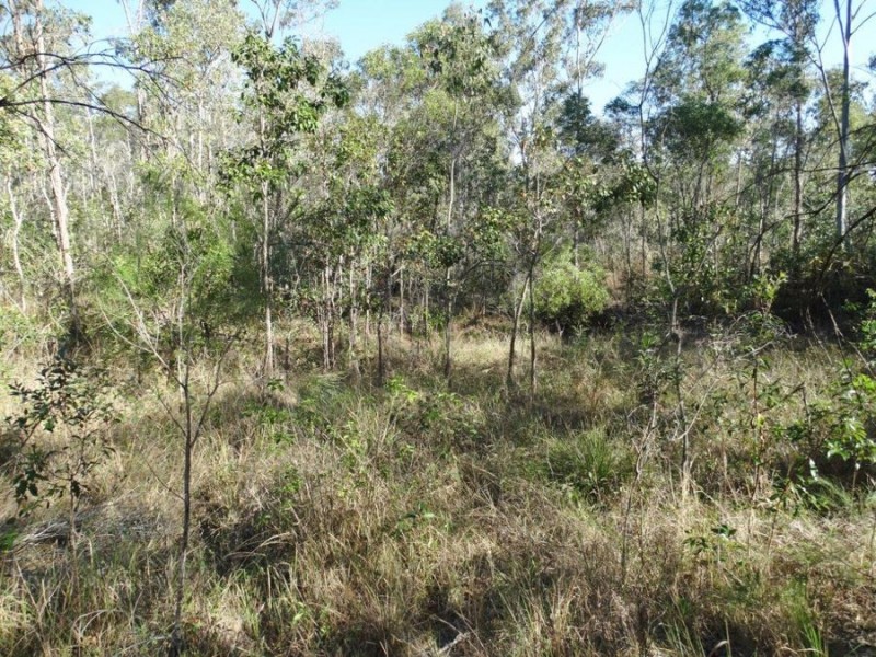 Lot 25 Tableland Road, Mount Maria QLD 4674