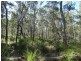 Lot 25 Tableland Road, Mount Maria QLD 4674