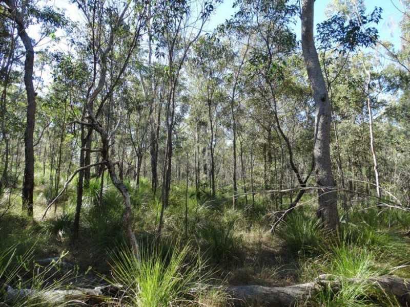 Lot 25 Tableland Road, Mount Maria QLD 4674