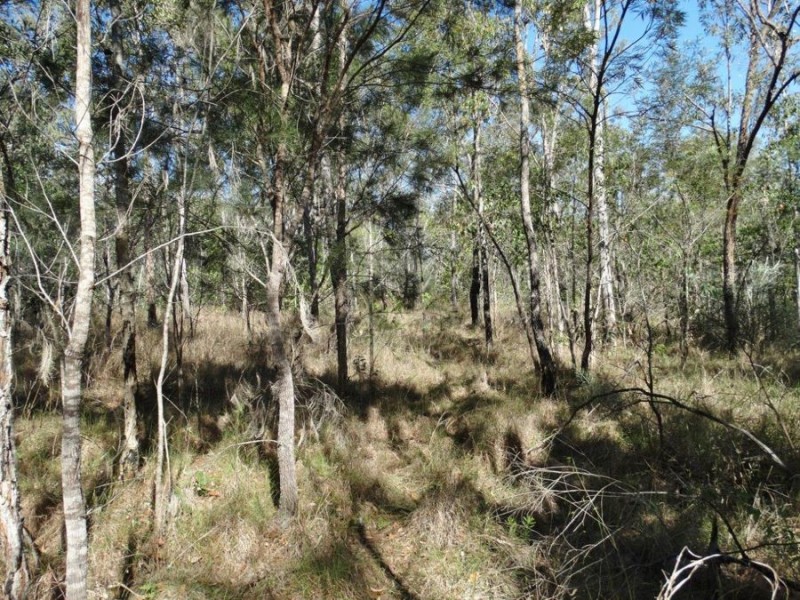 Lot 25 Tableland Road, Mount Maria QLD 4674