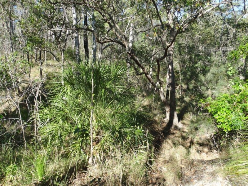 Lot 25 Tableland Road, Mount Maria QLD 4674