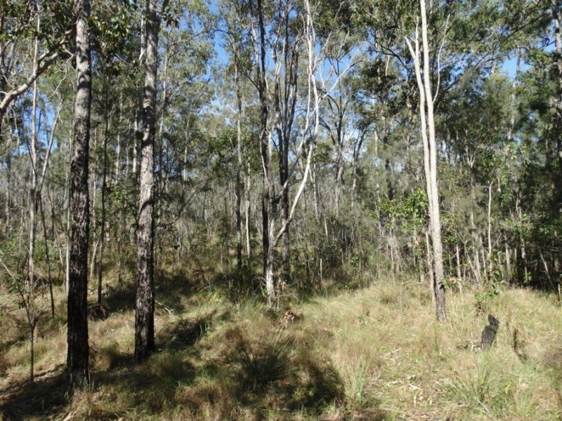 Lot 25 Tableland Road, Mount Maria QLD 4674