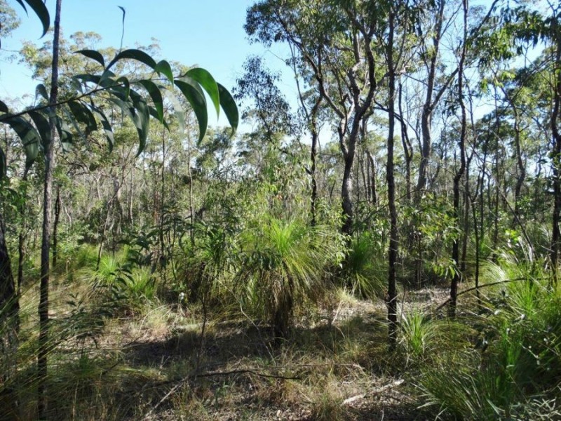 Lot 25 Tableland Road, Mount Maria QLD 4674
