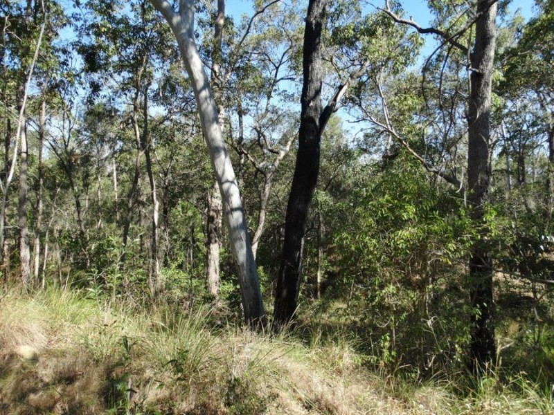 Lot 25 Tableland Road, Mount Maria QLD 4674