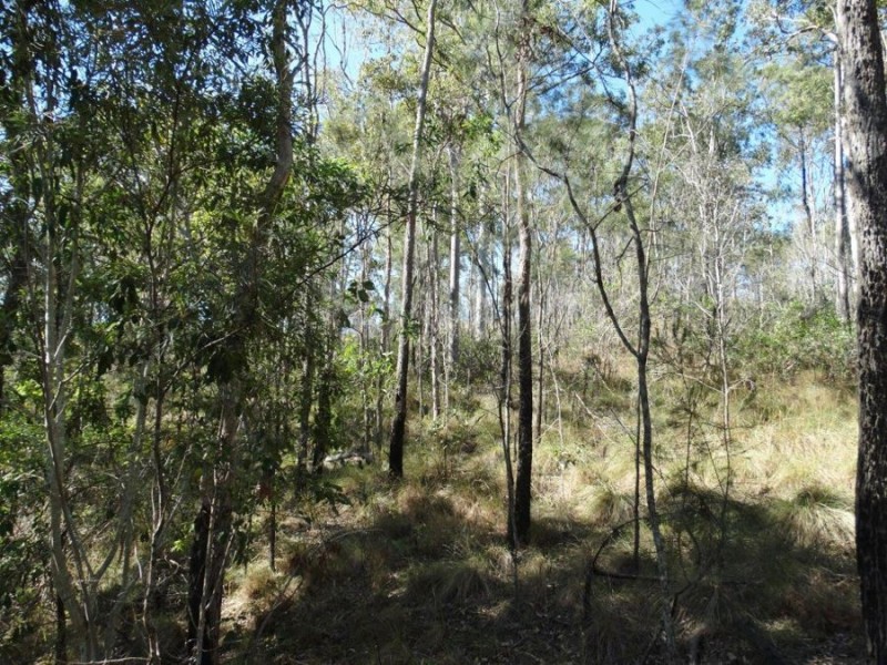 Lot 25 Tableland Road, Mount Maria QLD 4674