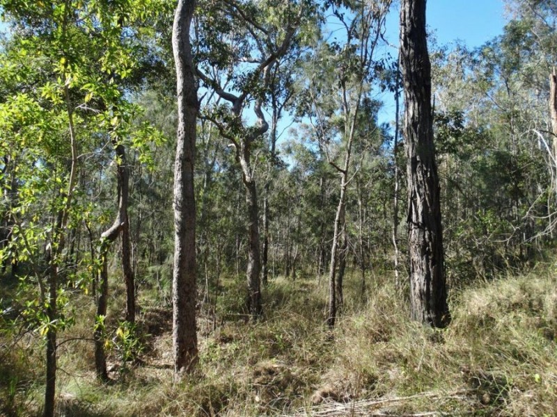 Lot 25 Tableland Road, Mount Maria QLD 4674