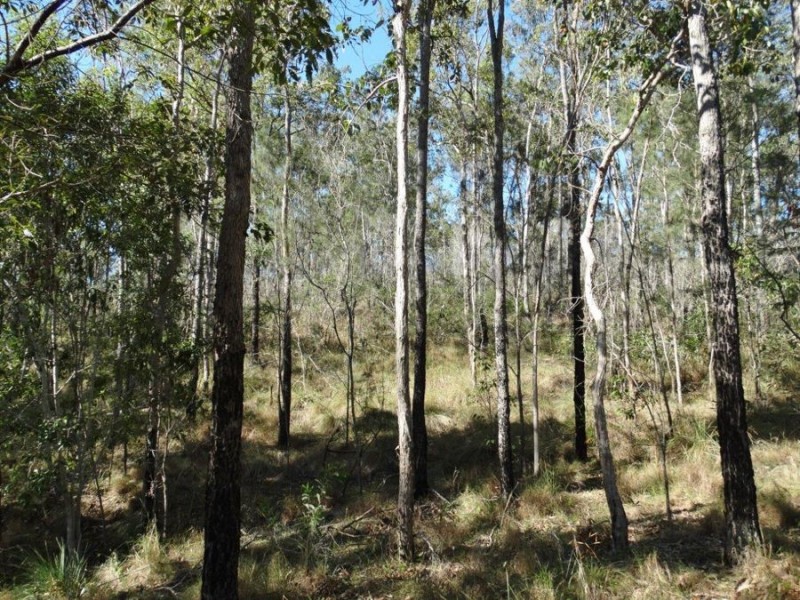 Lot 25 Tableland Road, Mount Maria QLD 4674