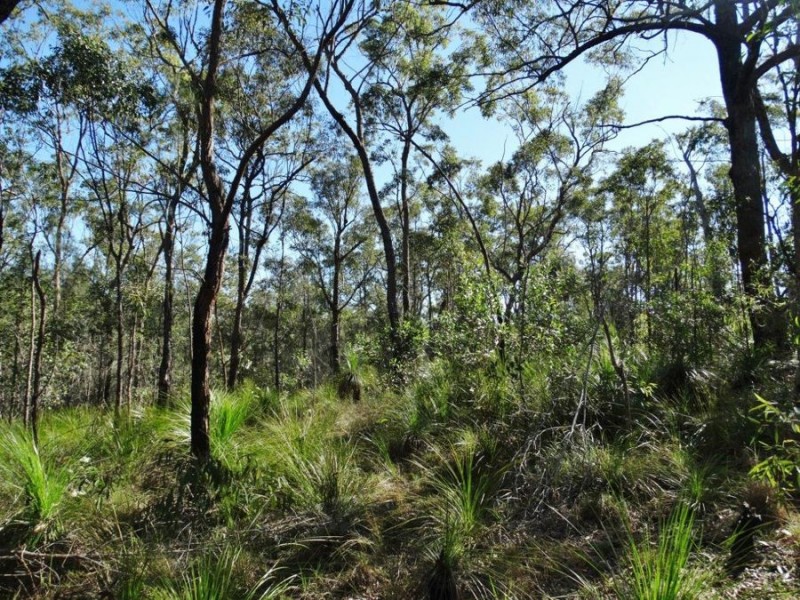Lot 25 Tableland Road, Mount Maria QLD 4674