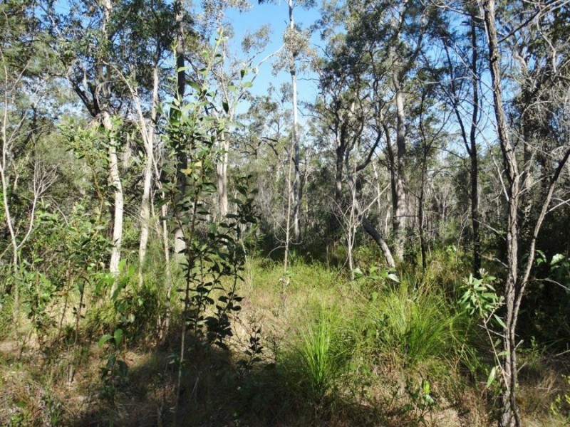 Lot 25 Tableland Road, Mount Maria QLD 4674