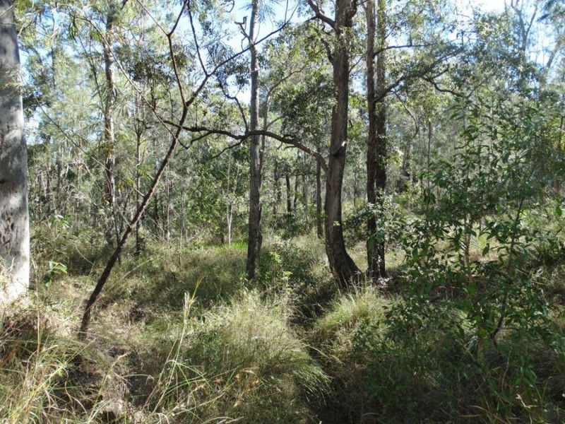 Lot 25 Tableland Road, Mount Maria QLD 4674
