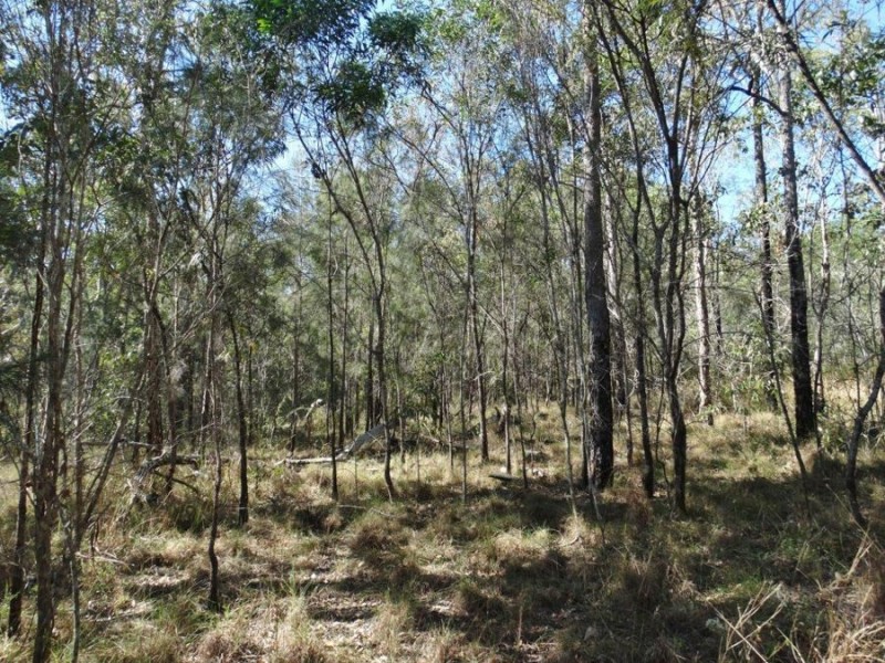 Lot 25 Tableland Road, Mount Maria QLD 4674