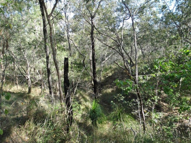 Lot 25 Tableland Road, Mount Maria QLD 4674