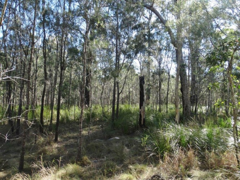 Lot 25 Tableland Road, Mount Maria QLD 4674