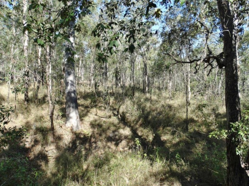 Lot 25 Tableland Road, Mount Maria QLD 4674