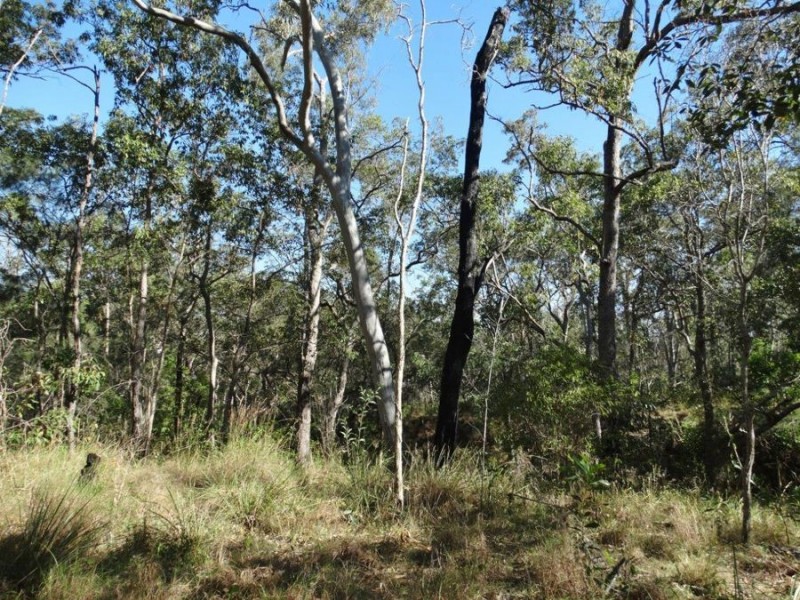 Lot 25 Tableland Road, Mount Maria QLD 4674