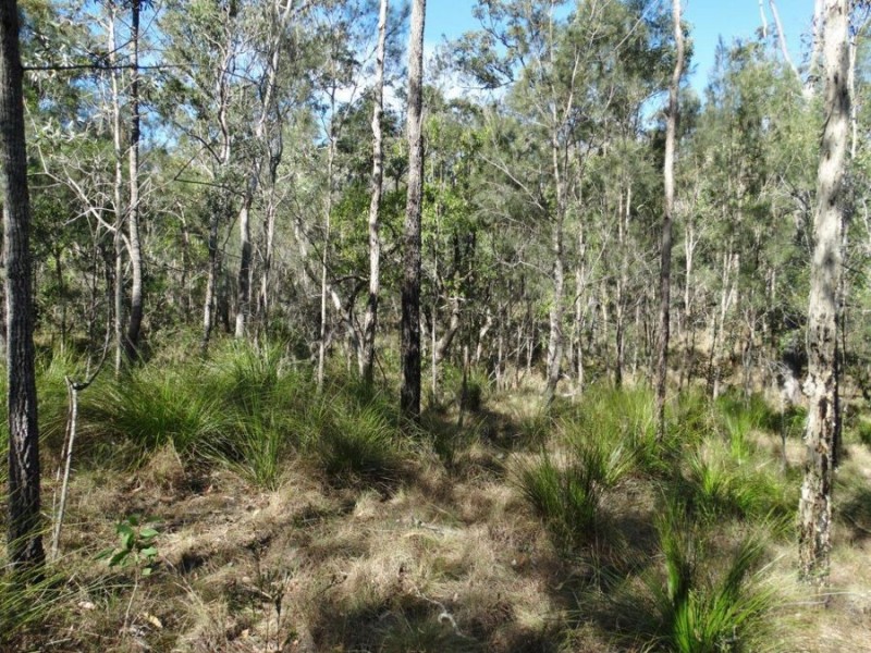 Lot 25 Tableland Road, Mount Maria QLD 4674