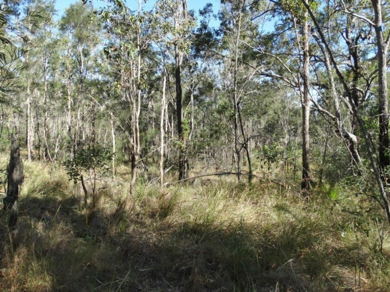 Lot 25 Tableland Road, Mount Maria QLD 4674