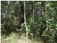 Lot 33 Pacific Drive, Deepwater QLD 4674