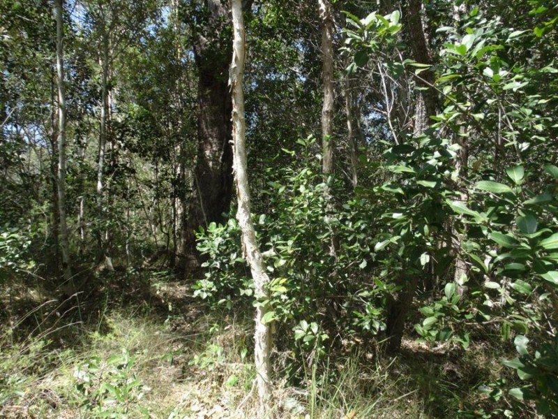 Lot 33 Pacific Drive, Deepwater QLD 4674
