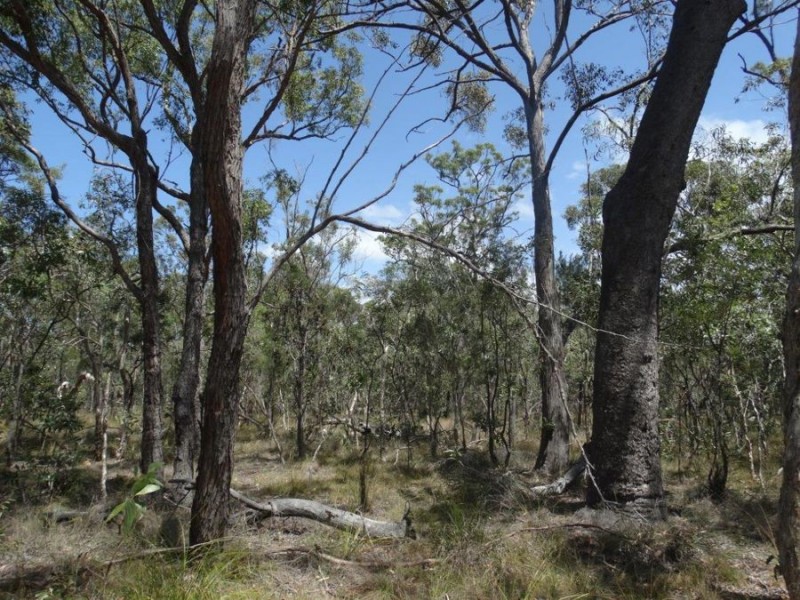 Lot 33 Pacific Drive, Deepwater QLD 4674