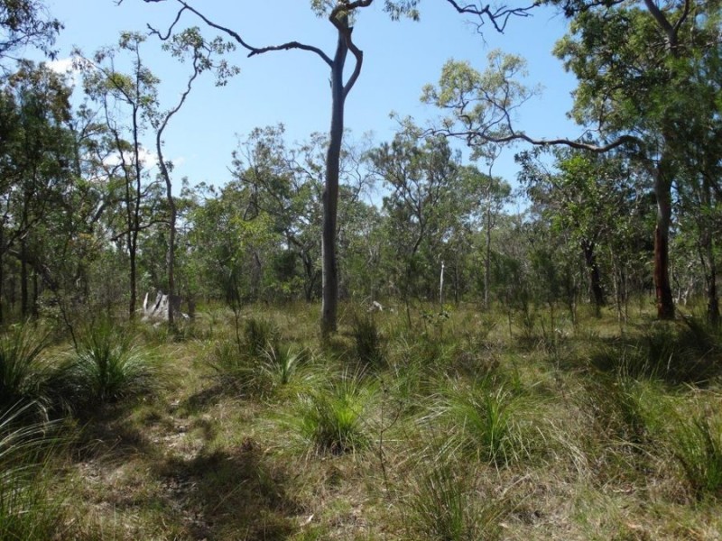 Lot 33 Pacific Drive, Deepwater QLD 4674