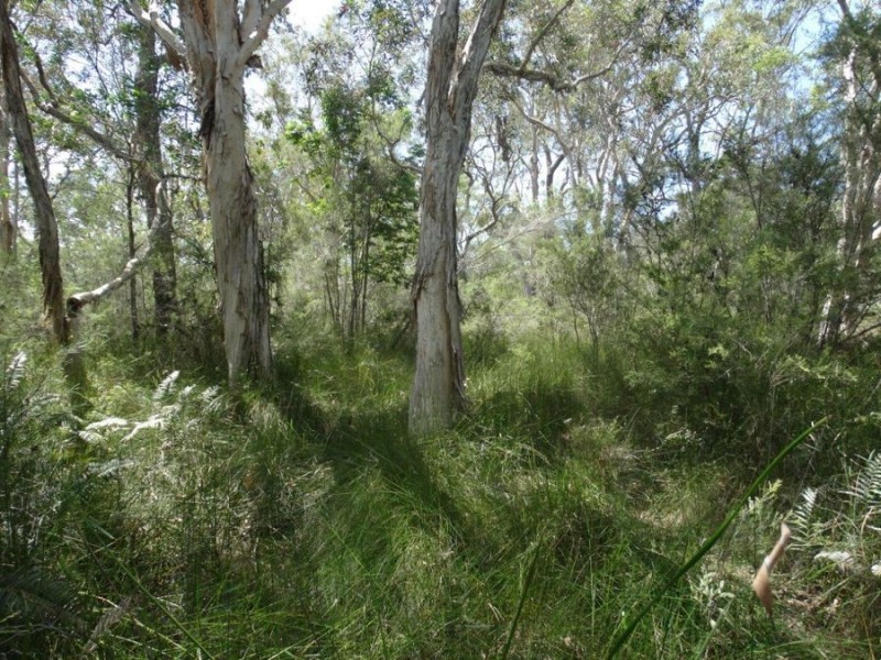 Lot 33 Pacific Drive, Deepwater QLD 4674