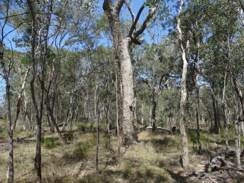 Lot 33 Pacific Drive, Deepwater QLD 4674