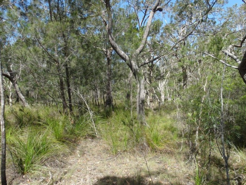 Lot 33 Pacific Drive, Deepwater QLD 4674