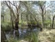 Lot 33 Pacific Drive, Deepwater QLD 4674