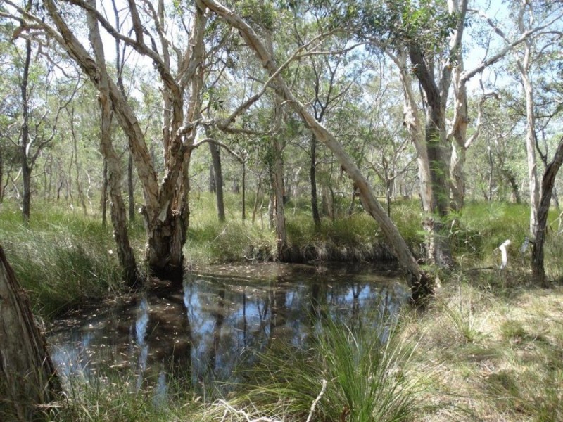 Lot 33 Pacific Drive, Deepwater QLD 4674
