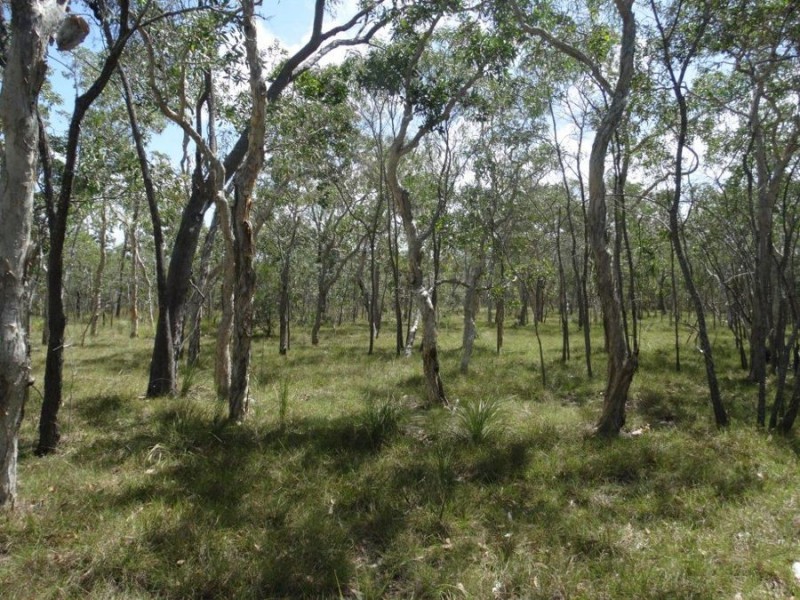 Lot 33 Pacific Drive, Deepwater QLD 4674