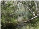 Lot 33 Pacific Drive, Deepwater QLD 4674