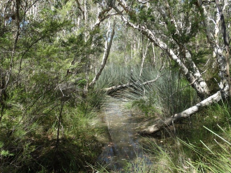 Lot 33 Pacific Drive, Deepwater QLD 4674