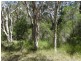 Lot 33 Pacific Drive, Deepwater QLD 4674